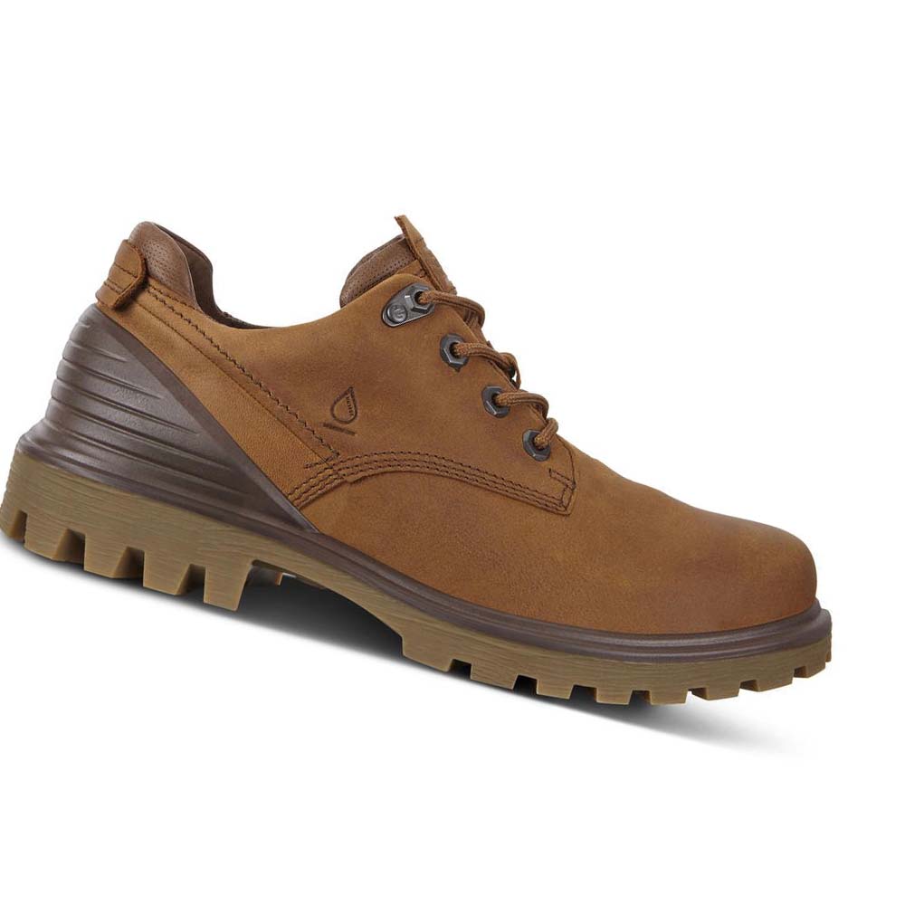 Férfi Ecco Tredtray Hiking & Trail Barna | HU 575PJJ